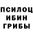 Псилоцибиновые грибы мицелий Dasha Maltseva