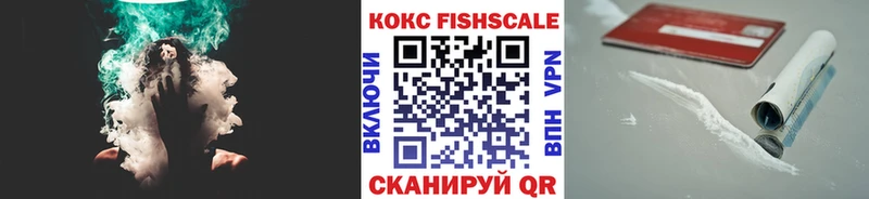 COCAIN Эквадор  где продают наркотики  Козьмодемьянск 