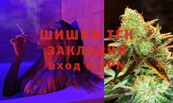 спиды Каменногорск