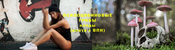 apvp Карпинск