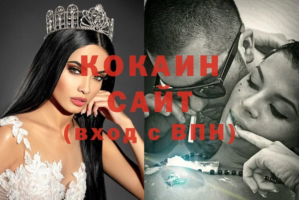 спиды Каменногорск