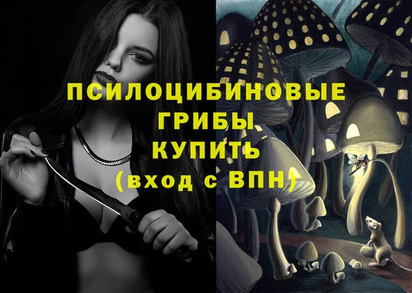 экстази Каменка