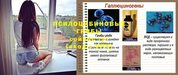 альфа пвп Инта