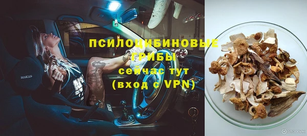 спиды Кинешма