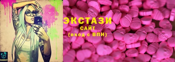 индика Инсар