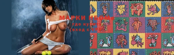 спиды Каменногорск