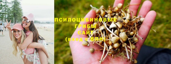 экстази Каменка