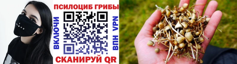 Псилоцибиновые грибы Cubensis  купить  цена  ссылка на мегу рабочий сайт  Козьмодемьянск 